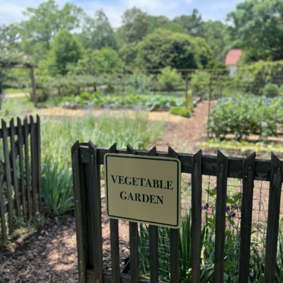 The (Vegetable) Garden of Memories