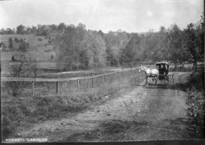 A horse-drawn carriage traveling on the north side of Ferrell Gardens circa 1890. The Ferrell family home and original terraces can be seen in the upper left.